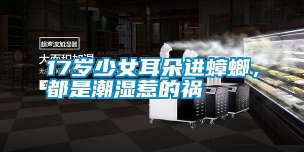 17歲少女耳朵進蟑螂，都是潮濕惹的禍