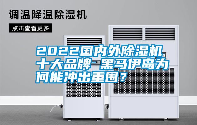 2022國內(nèi)外除濕機(jī)十大品牌 黑馬伊島為何能沖出重圍？