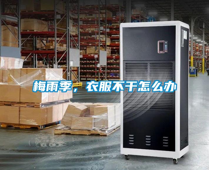 梅雨季，衣服不干怎么辦