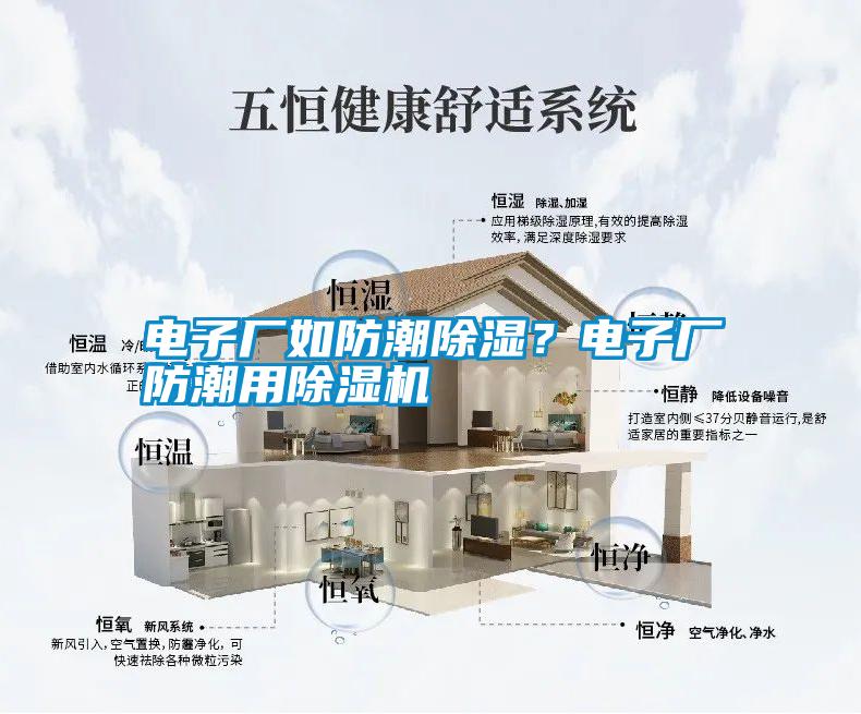 電子廠如防潮除濕？電子廠防潮用除濕機(jī)