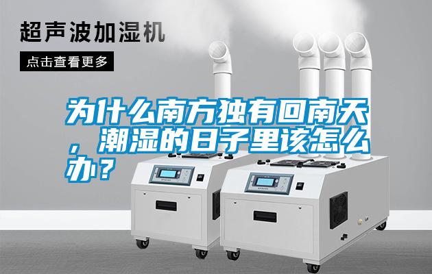 為什么南方獨(dú)有回南天，潮濕的日子里該怎么辦？