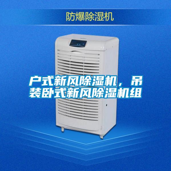 戶式新風(fēng)除濕機(jī)，吊裝臥式新風(fēng)除濕機(jī)組
