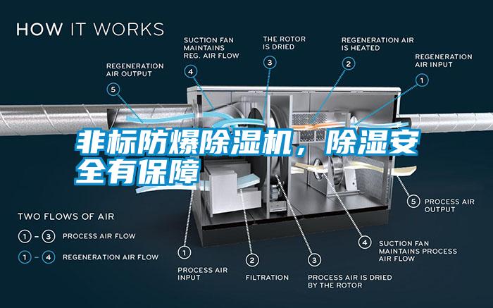 非標(biāo)防爆除濕機(jī)，除濕安全有保障