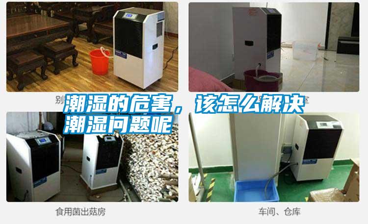 潮濕的危害，該怎么解決潮濕問題呢