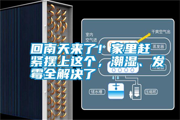 回南天來了！家里趕緊擺上這個(gè)，潮濕、發(fā)霉全解決了