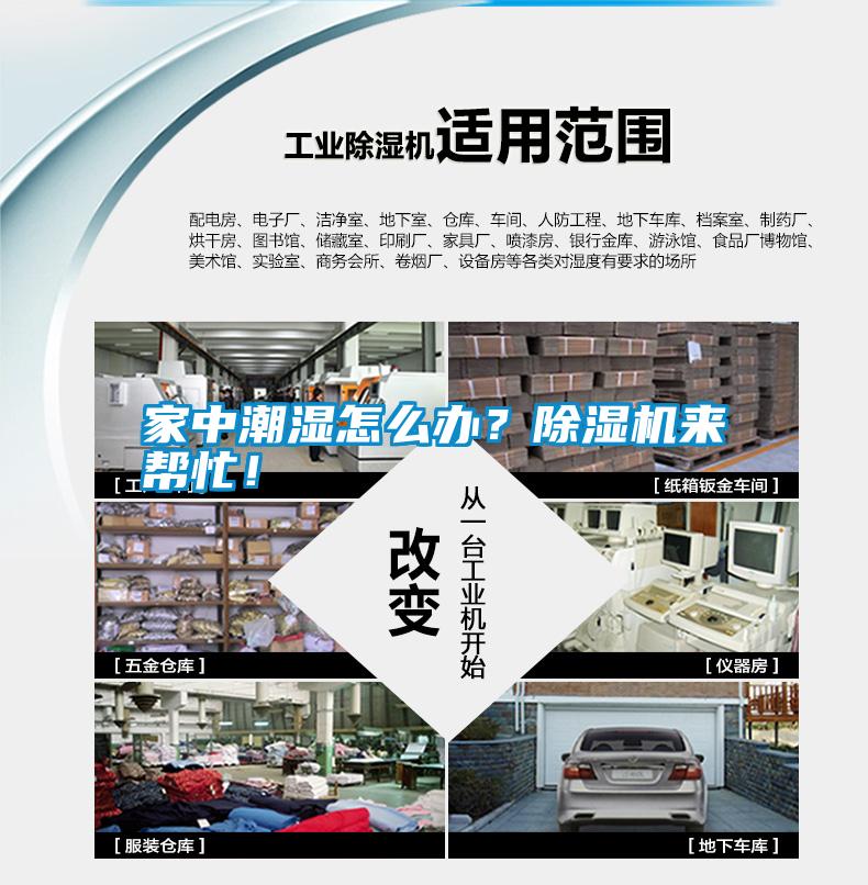 家中潮濕怎么辦？除濕機(jī)來幫忙！