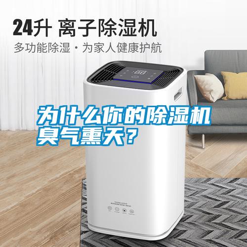 為什么你的除濕機臭氣熏天？