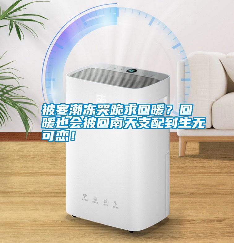 被寒潮凍哭跪求回暖？回暖也會被回南天支配到生無可戀！