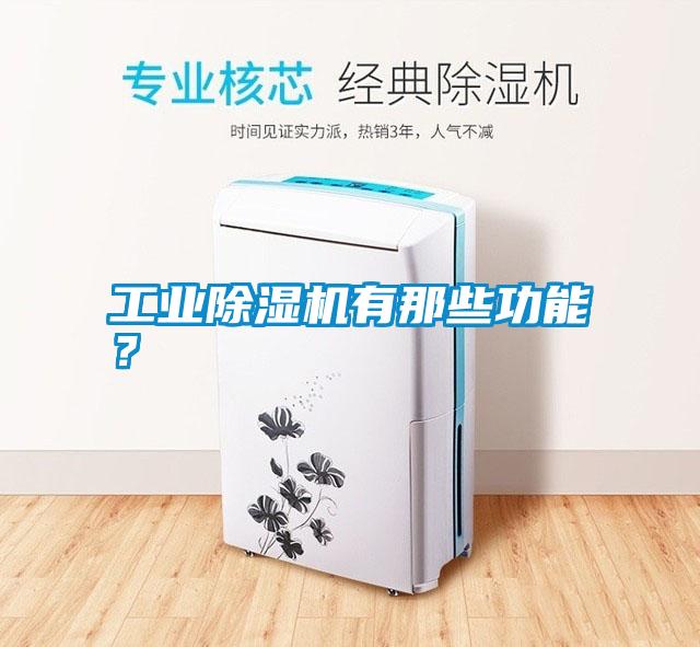 工業(yè)除濕機(jī)有那些功能？