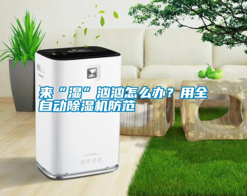 來“濕”洶洶怎么辦？用全自動(dòng)除濕機(jī)防范