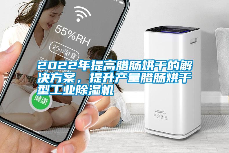 2022年提高臘腸烘干的解決方案，提升產(chǎn)量臘腸烘干型工業(yè)除濕機(jī)