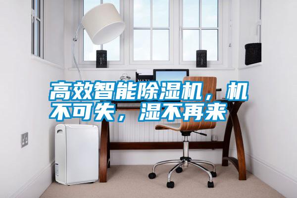 高效智能除濕機(jī)，機(jī)不可失，濕不再來(lái)
