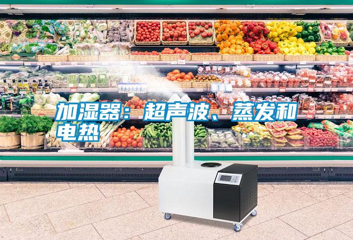 加濕器：超聲波、蒸發(fā)和電熱