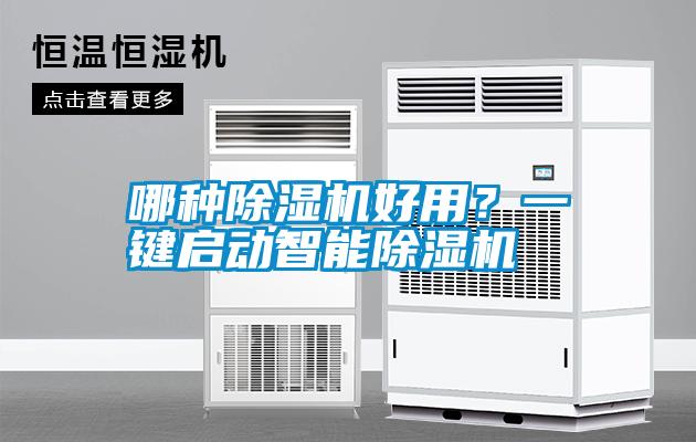 哪種除濕機好用？一鍵啟動智能除濕機