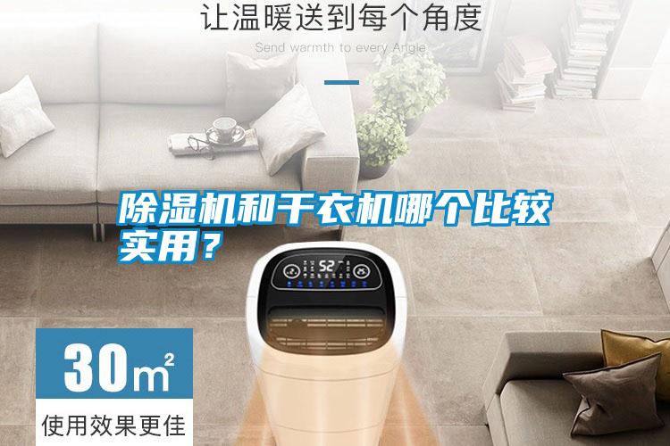 除濕機和干衣機哪個比較實用？