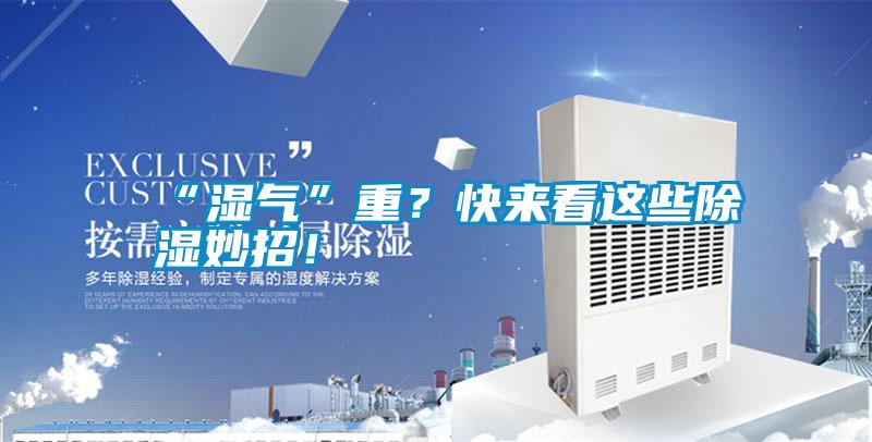 “濕氣”重？快來(lái)看這些除濕妙招！