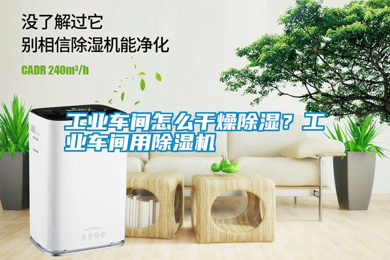 工業(yè)車間怎么干燥除濕？工業(yè)車間用除濕機