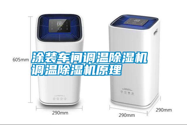 涂裝車間調(diào)溫除濕機 調(diào)溫除濕機原理