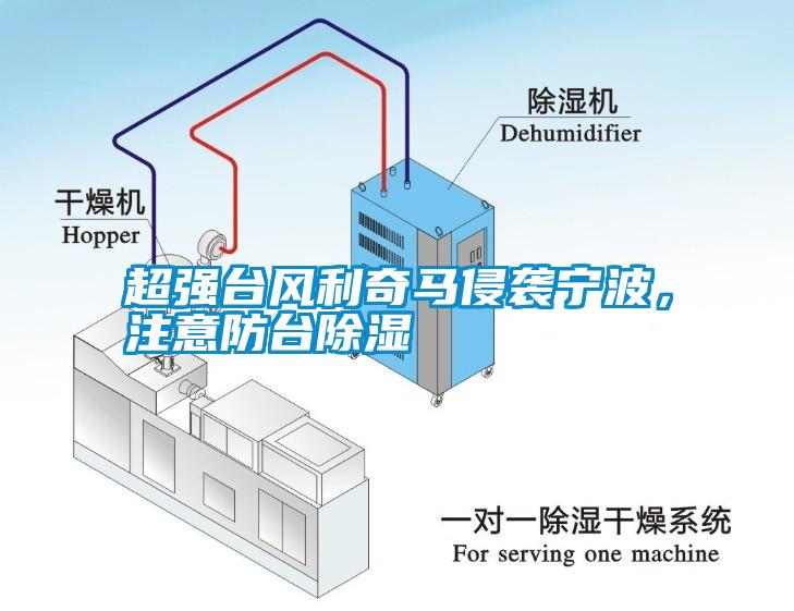 超強(qiáng)臺(tái)風(fēng)利奇馬侵襲寧波，注意防臺(tái)除濕