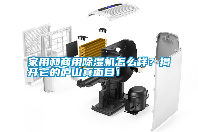 家用和商用除濕機(jī)怎么樣？揭開(kāi)它的廬山真面目！