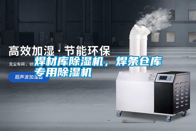 焊材庫(kù)除濕機(jī)，焊條倉(cāng)庫(kù)專用除濕機(jī)