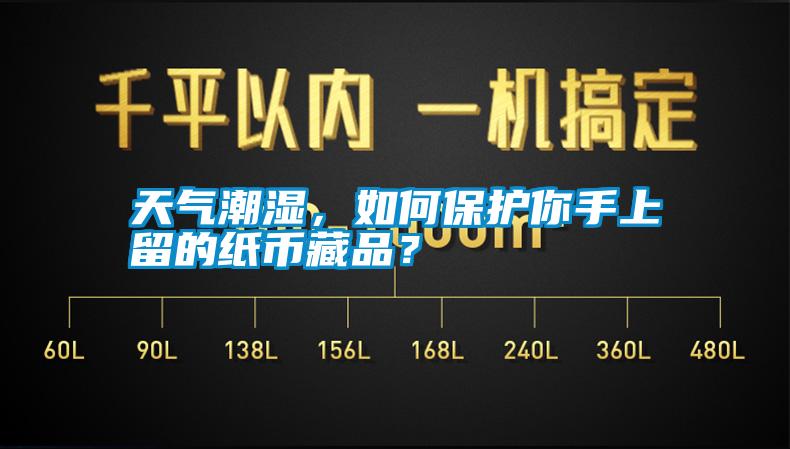 天氣潮濕，如何保護你手上留的紙幣藏品？