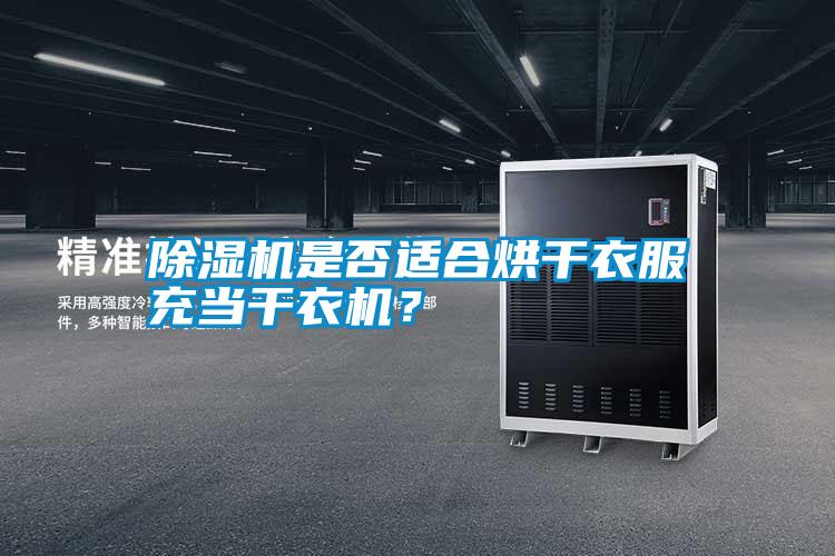 除濕機(jī)是否適合烘干衣服充當(dāng)干衣機(jī)？