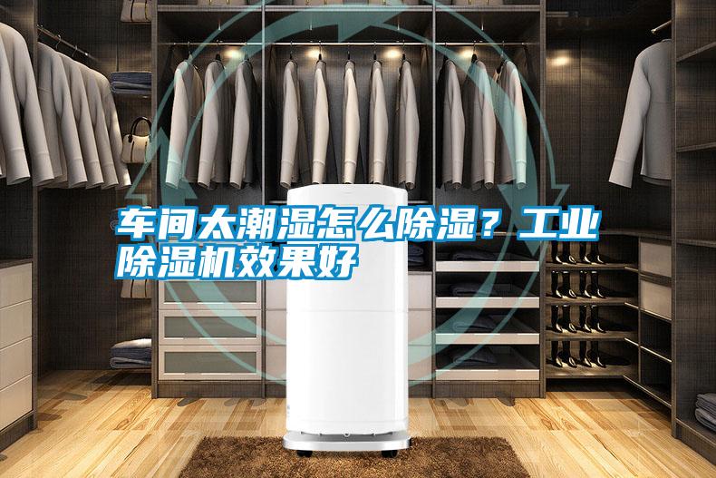 車間太潮濕怎么除濕？工業(yè)除濕機效果好
