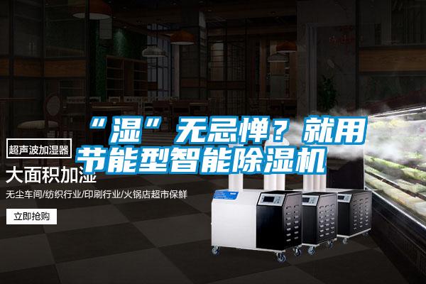 “濕”無(wú)忌憚？就用節(jié)能型智能除濕機(jī)