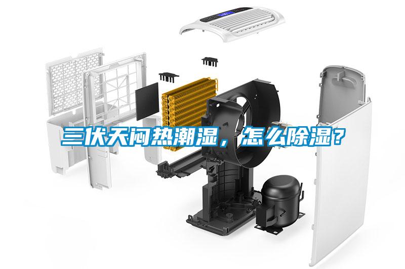 三伏天悶熱潮濕，怎么除濕？
