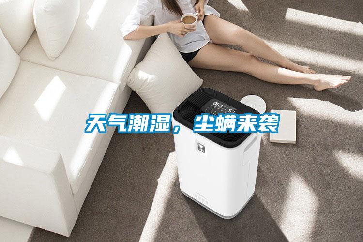 天氣潮濕，塵螨來襲