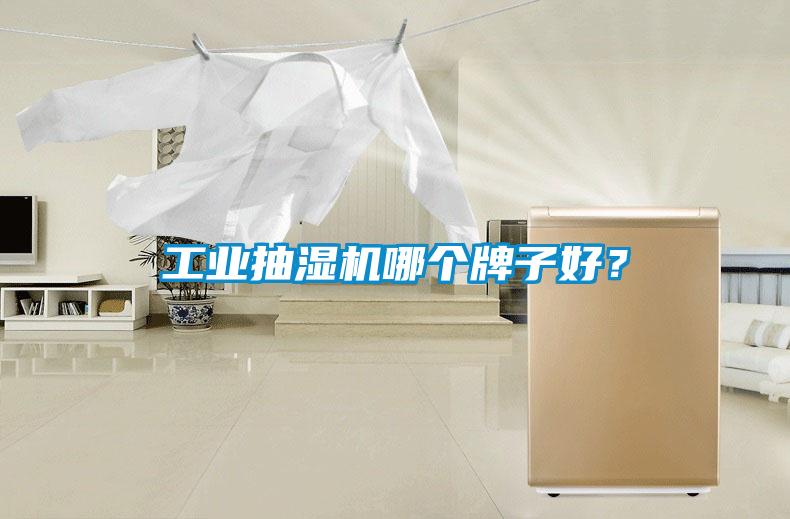 工業(yè)抽濕機(jī)哪個(gè)牌子好？