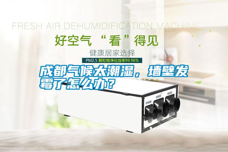 成都氣候太潮濕，墻壁發(fā)霉了怎么辦？