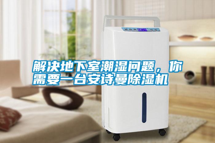 解決地下室潮濕問題，你需要一臺安詩曼除濕機