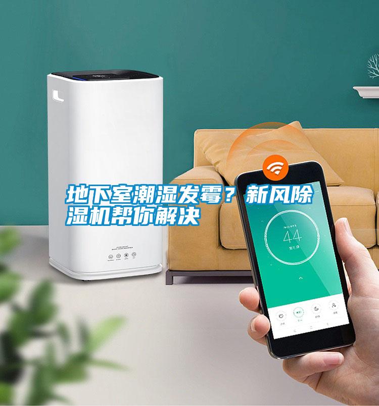 地下室潮濕發(fā)霉？新風(fēng)除濕機(jī)幫你解決