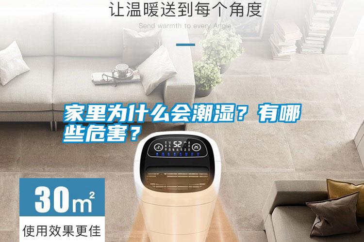 家里為什么會潮濕？有哪些危害？