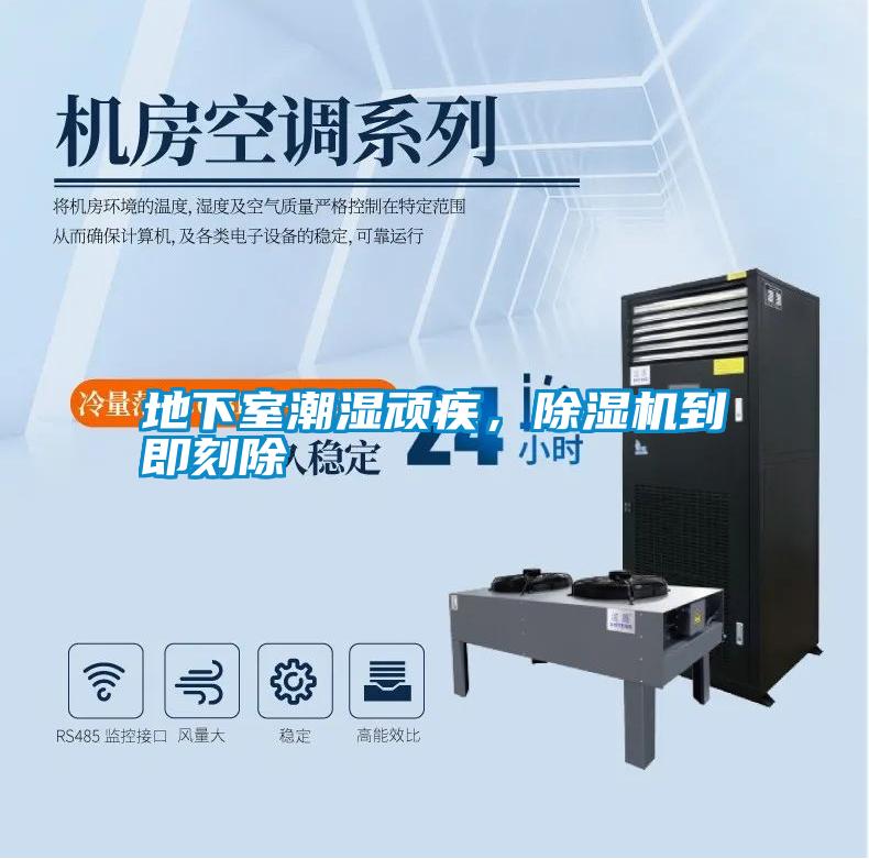 地下室潮濕頑疾，除濕機到即刻除