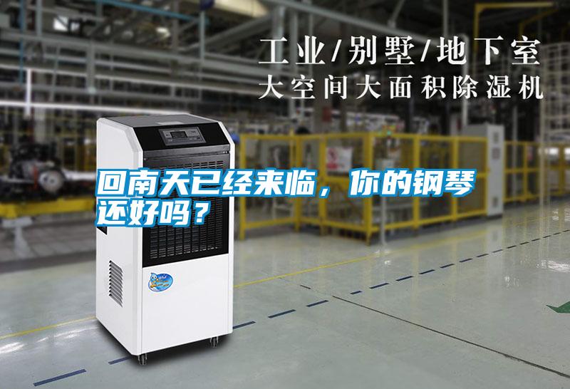 回南天已經(jīng)來(lái)臨，你的鋼琴還好嗎？