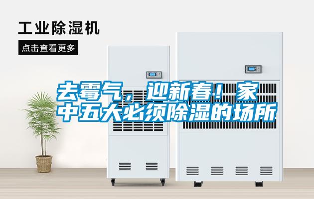 去霉氣，迎新春！家中五大必須除濕的場所