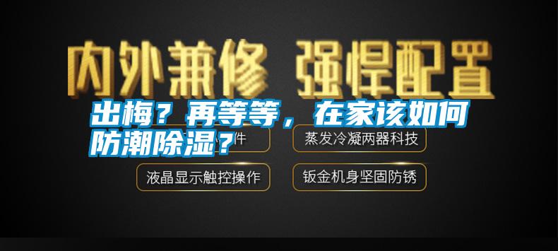 出梅？再等等，在家該如何防潮除濕？