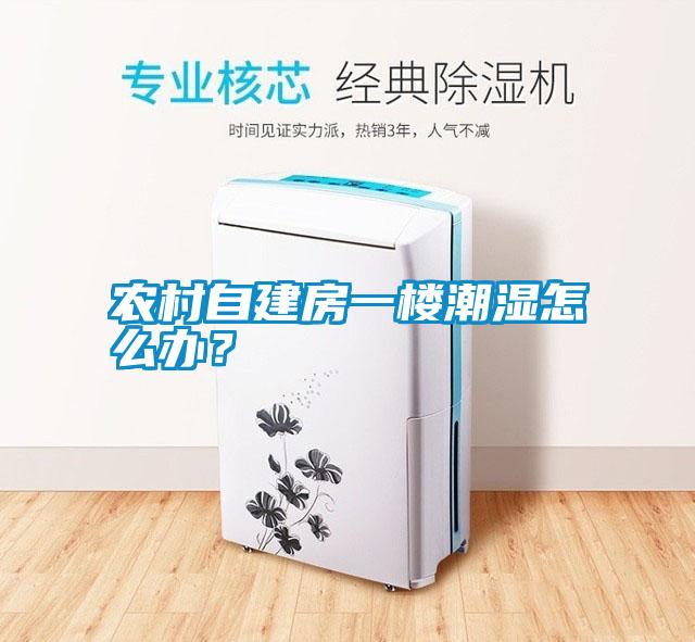 農(nóng)村自建房一樓潮濕怎么辦？