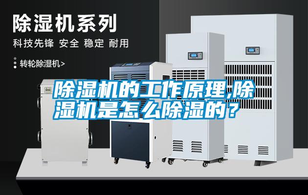 除濕機(jī)的工作原理,除濕機(jī)是怎么除濕的？