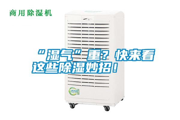 “濕氣”重？快來(lái)看這些除濕妙招！
