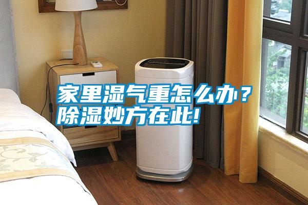家里濕氣重怎么辦？除濕妙方在此!