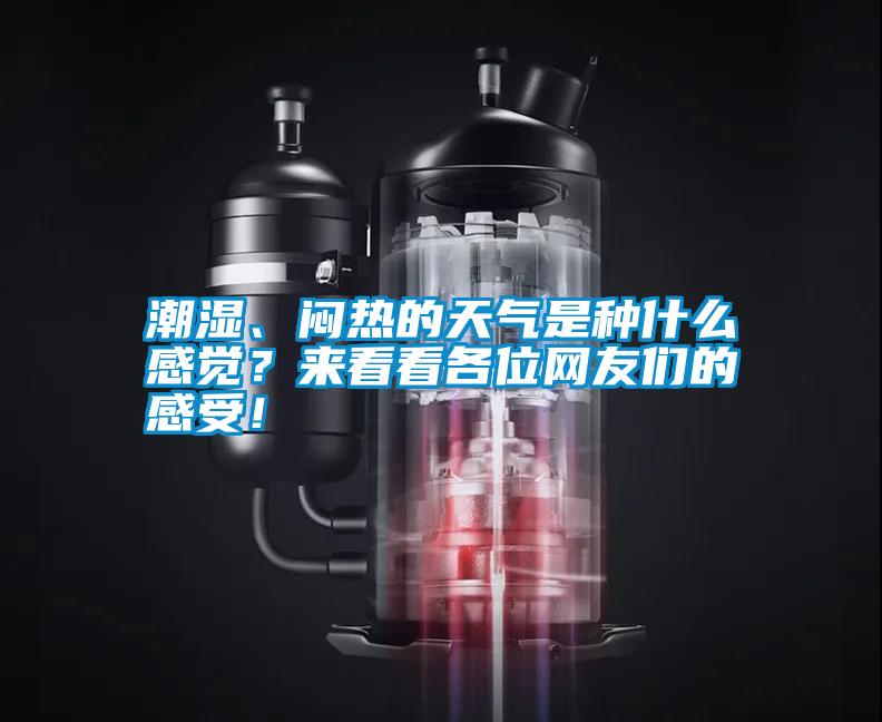 潮濕、悶熱的天氣是種什么感覺？來看看各位網(wǎng)友們的感受！
