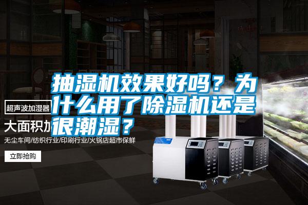 抽濕機(jī)效果好嗎？為什么用了除濕機(jī)還是很潮濕？