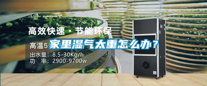 家里濕氣太重怎么辦？