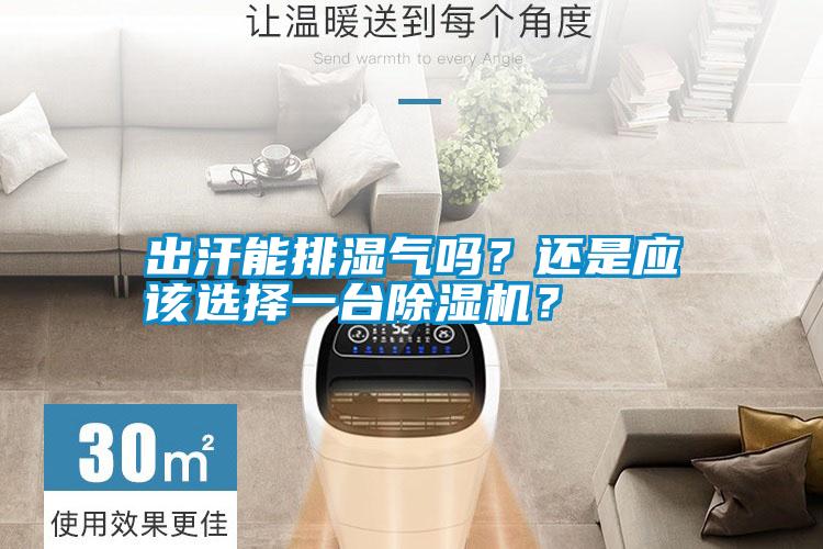 出汗能排濕氣嗎？還是應該選擇一臺除濕機？