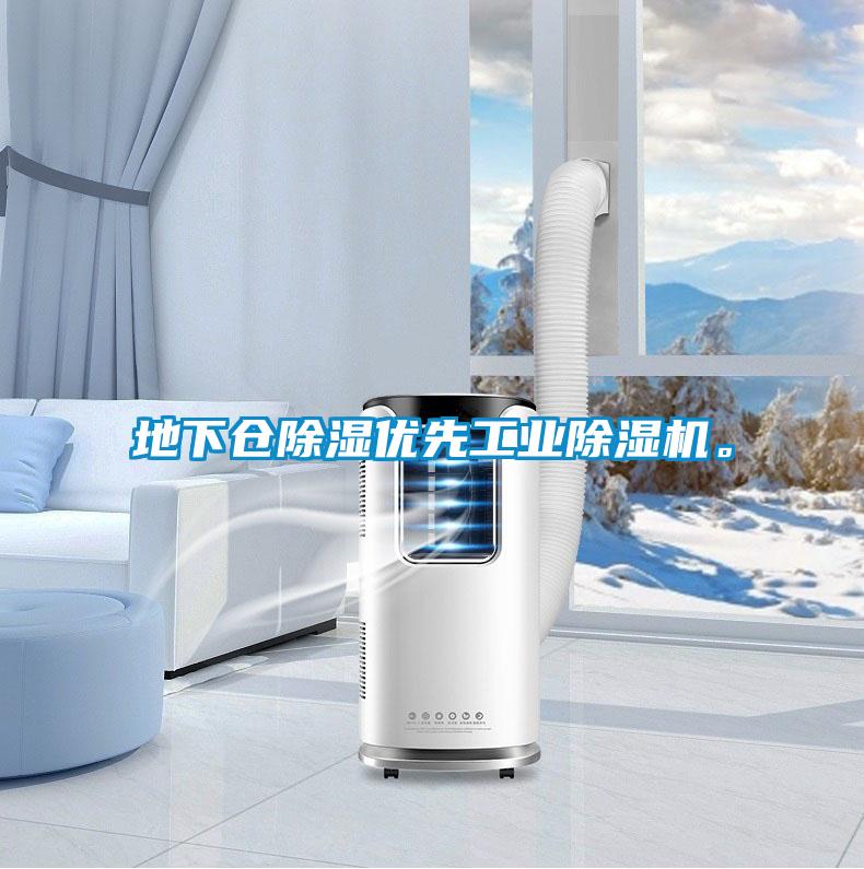 地下倉除濕優(yōu)先工業(yè)除濕機(jī)。