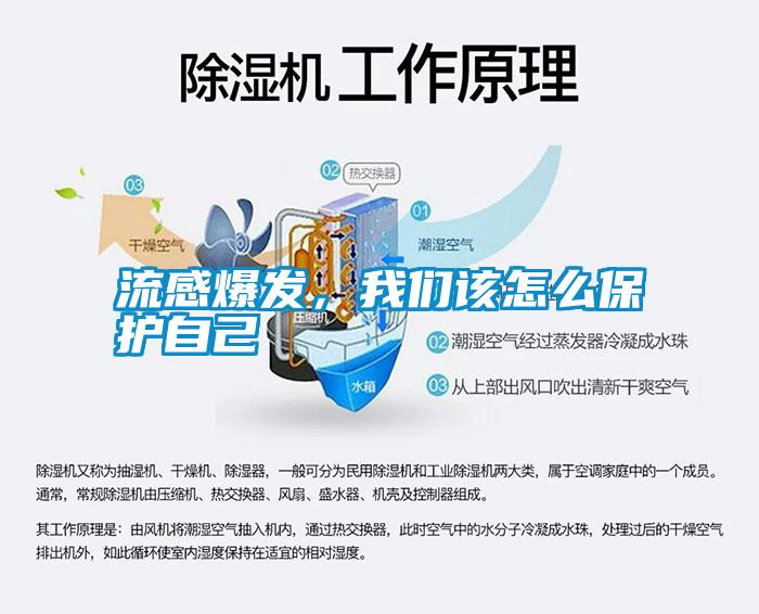 流感爆發(fā)，我們該怎么保護自己